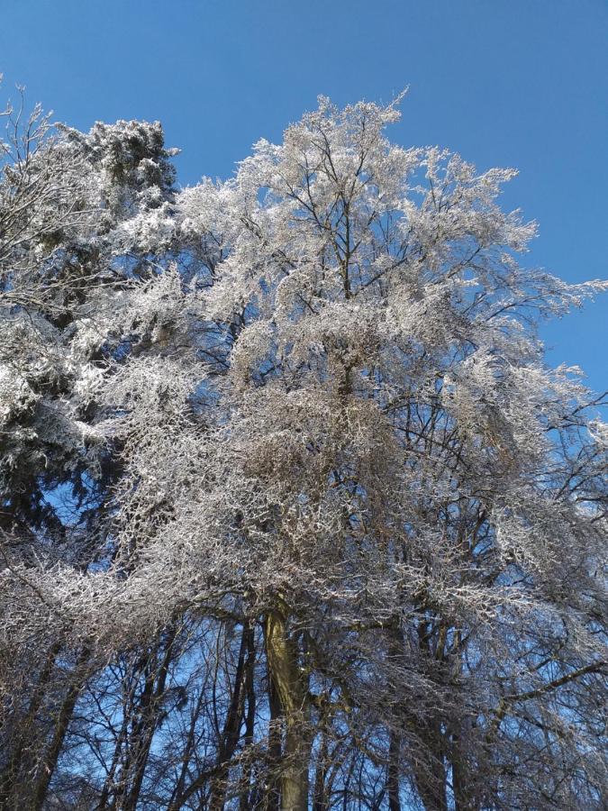 Eifelverweiler Weiler  ภายนอก รูปภาพ